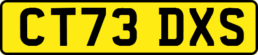 CT73DXS