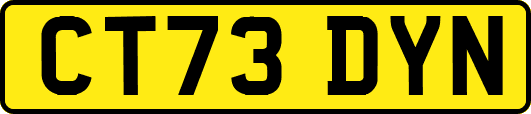 CT73DYN