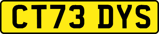 CT73DYS