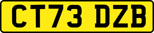 CT73DZB