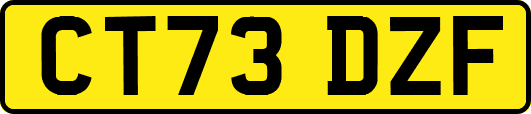 CT73DZF