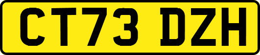 CT73DZH