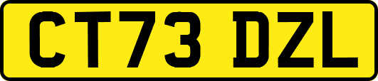 CT73DZL