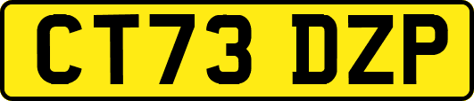 CT73DZP