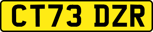 CT73DZR
