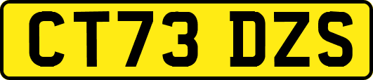 CT73DZS