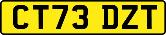 CT73DZT