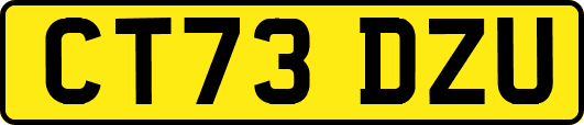 CT73DZU