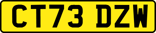 CT73DZW