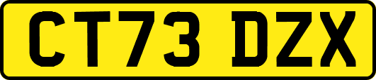 CT73DZX
