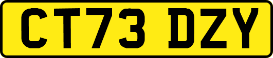 CT73DZY