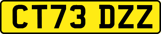 CT73DZZ