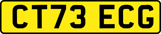 CT73ECG