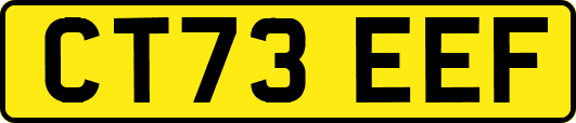 CT73EEF