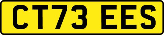 CT73EES