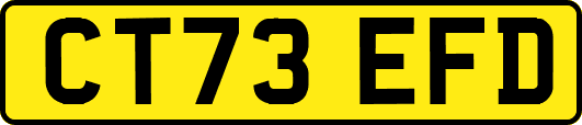 CT73EFD