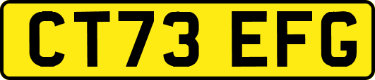 CT73EFG