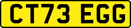 CT73EGG