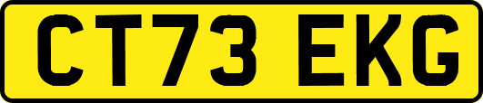 CT73EKG