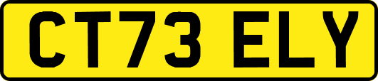 CT73ELY
