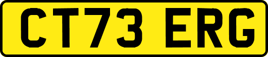 CT73ERG