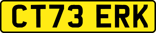 CT73ERK