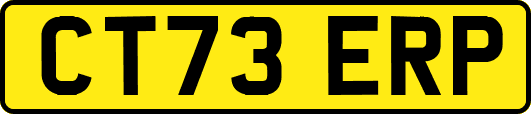 CT73ERP
