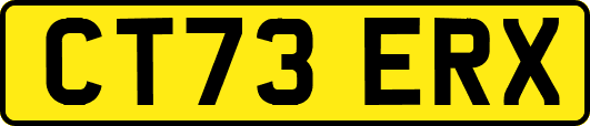 CT73ERX