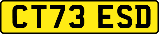 CT73ESD
