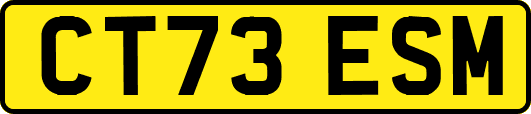 CT73ESM
