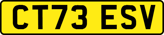 CT73ESV