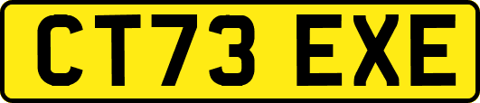 CT73EXE