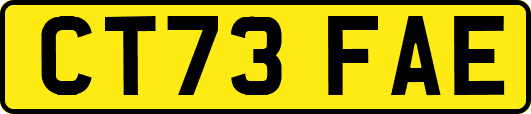 CT73FAE