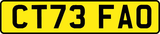 CT73FAO