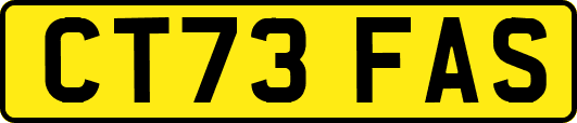 CT73FAS