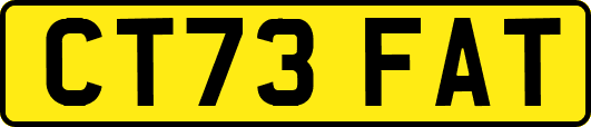CT73FAT