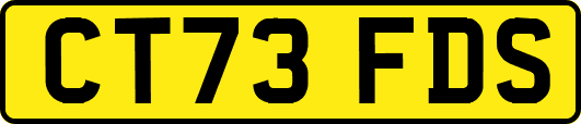 CT73FDS