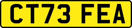 CT73FEA