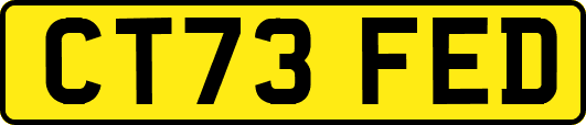 CT73FED