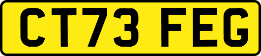CT73FEG