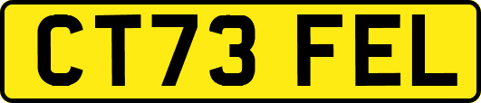 CT73FEL