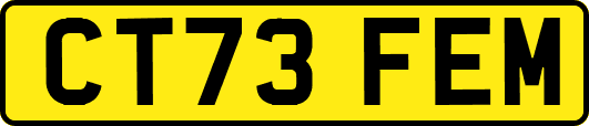 CT73FEM
