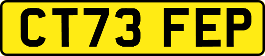 CT73FEP