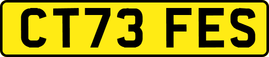 CT73FES