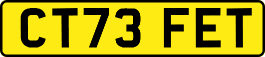 CT73FET