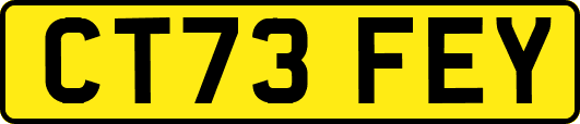CT73FEY