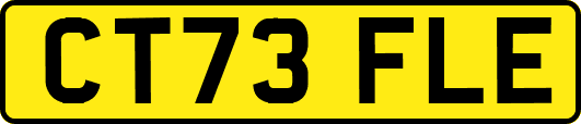 CT73FLE