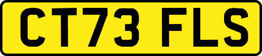 CT73FLS