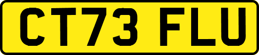 CT73FLU