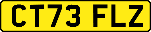 CT73FLZ